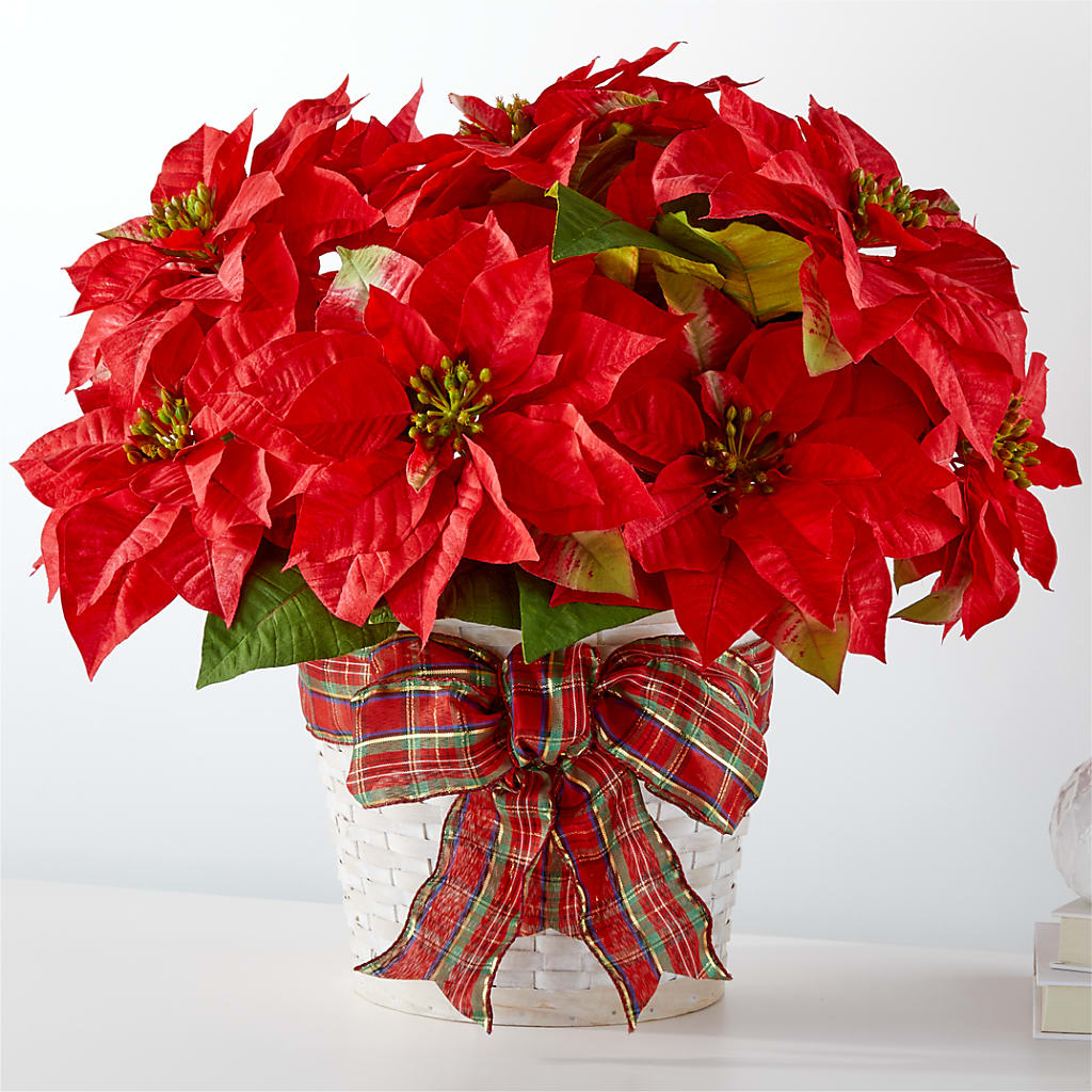 Happiest Holidays Poinsettia – Grimm-kruse-brix Florist Inc, Saint Louis MO