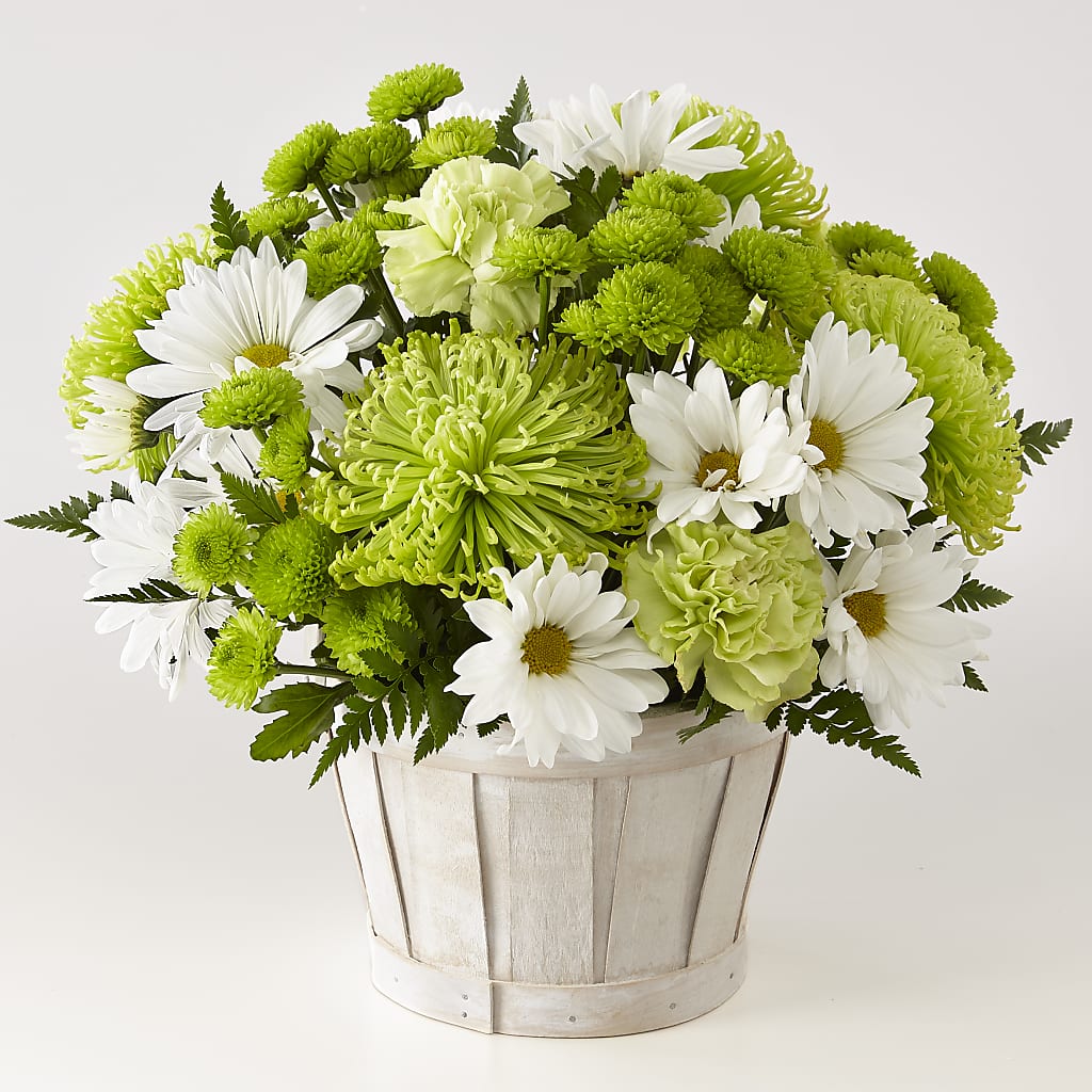 Lucky Charm Basket (Standard) – Grimm-kruse-brix Florist Inc, Saint Louis MO