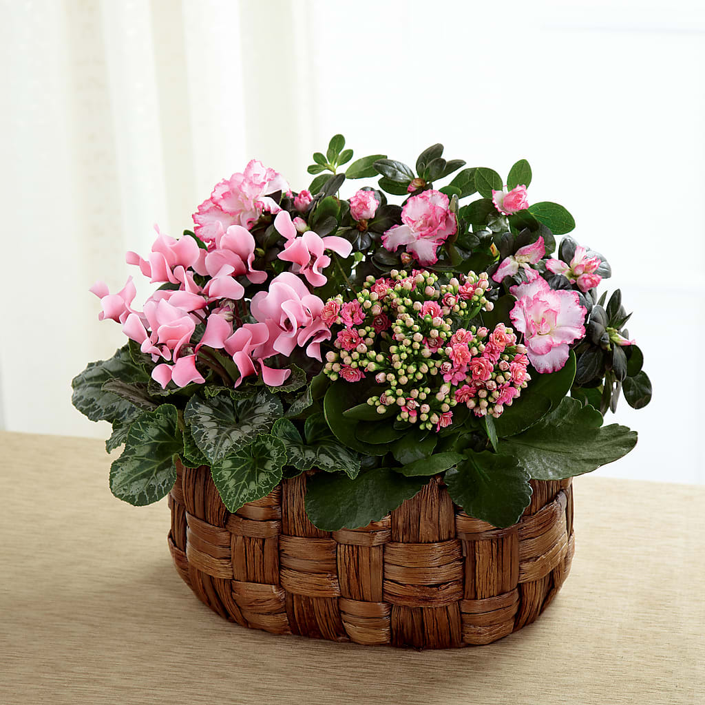 Pink Assortment – Grimm-kruse-brix Florist Inc, Saint Louis MO