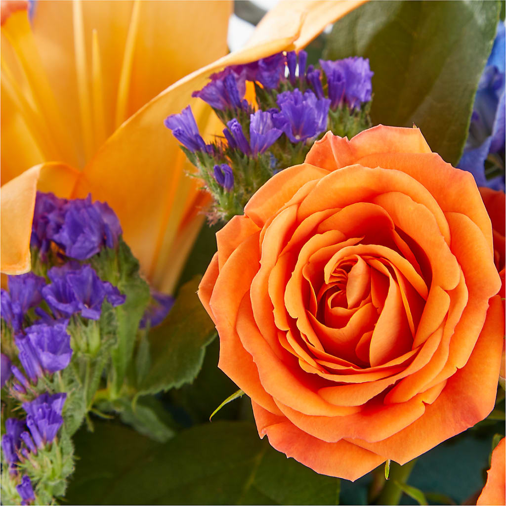 Radiant Citrus Box Bouquet – Grimm-kruse-brix Florist Inc, Saint Louis MO