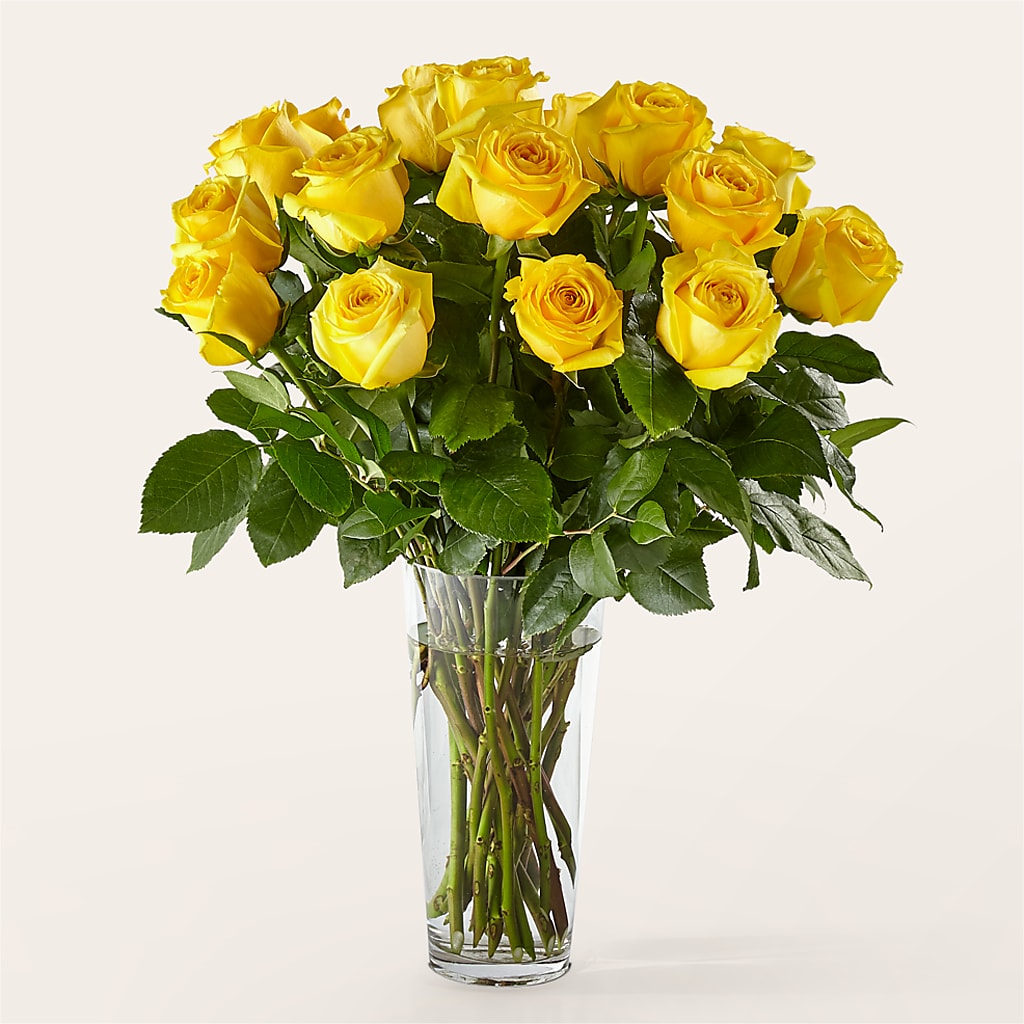Long Stem Yellow Rose Bouquet – Grimm-kruse-brix Florist Inc, Saint Louis MO