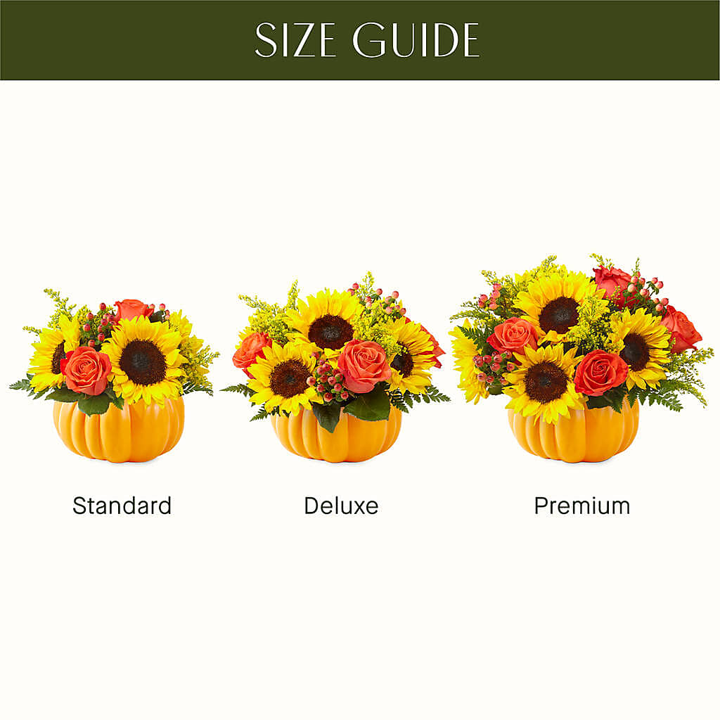 Pick of the Patch Pumpkin Bouquet – Grimm-kruse-brix Florist Inc, Saint Louis MO