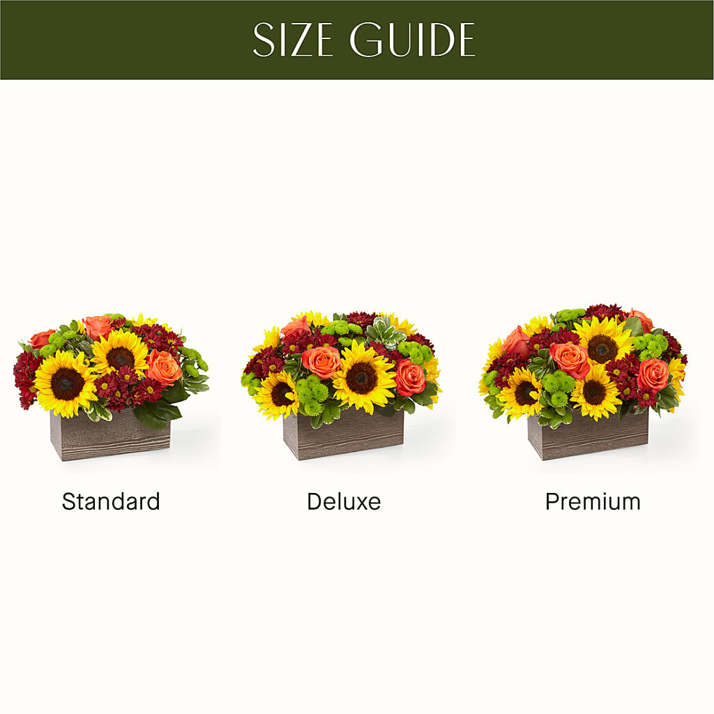 Happy Harvest Garden – Grimm-kruse-brix Florist Inc, Saint Louis MO