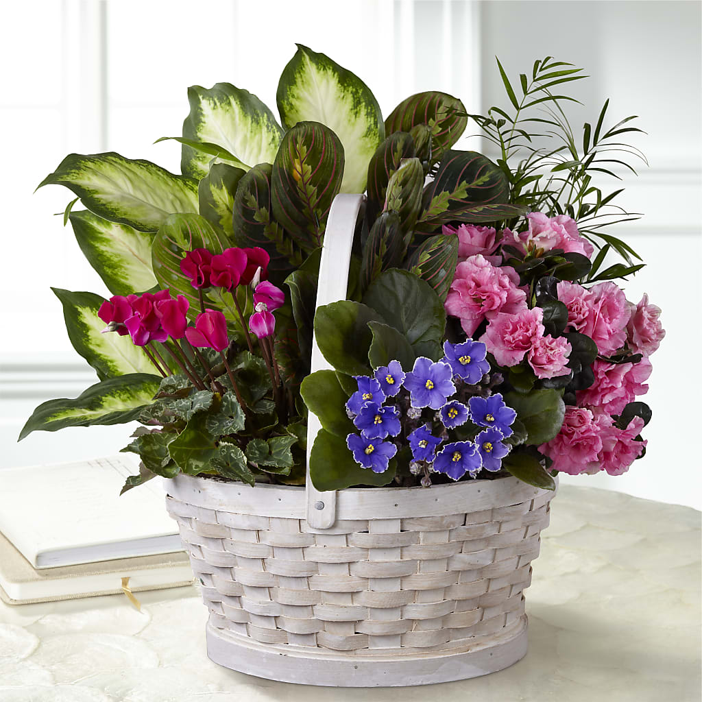 Peaceful Garden Planter – Grimm-kruse-brix Florist Inc, Saint Louis MO