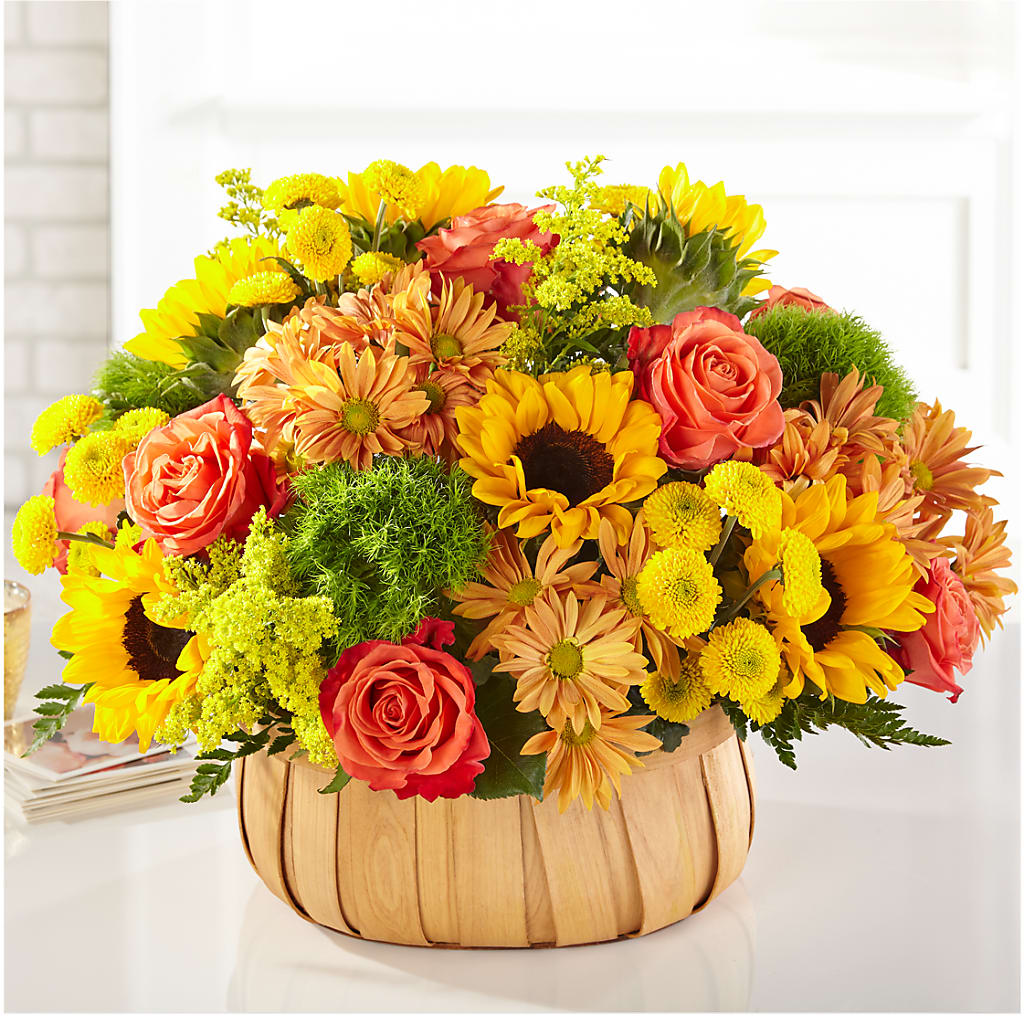 Harvest Sunflower Basket – Grimm-kruse-brix Florist Inc, Saint Louis MO