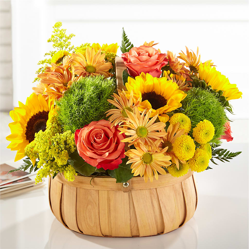 Harvest Sunflower Basket – Grimm-kruse-brix Florist Inc, Saint Louis MO