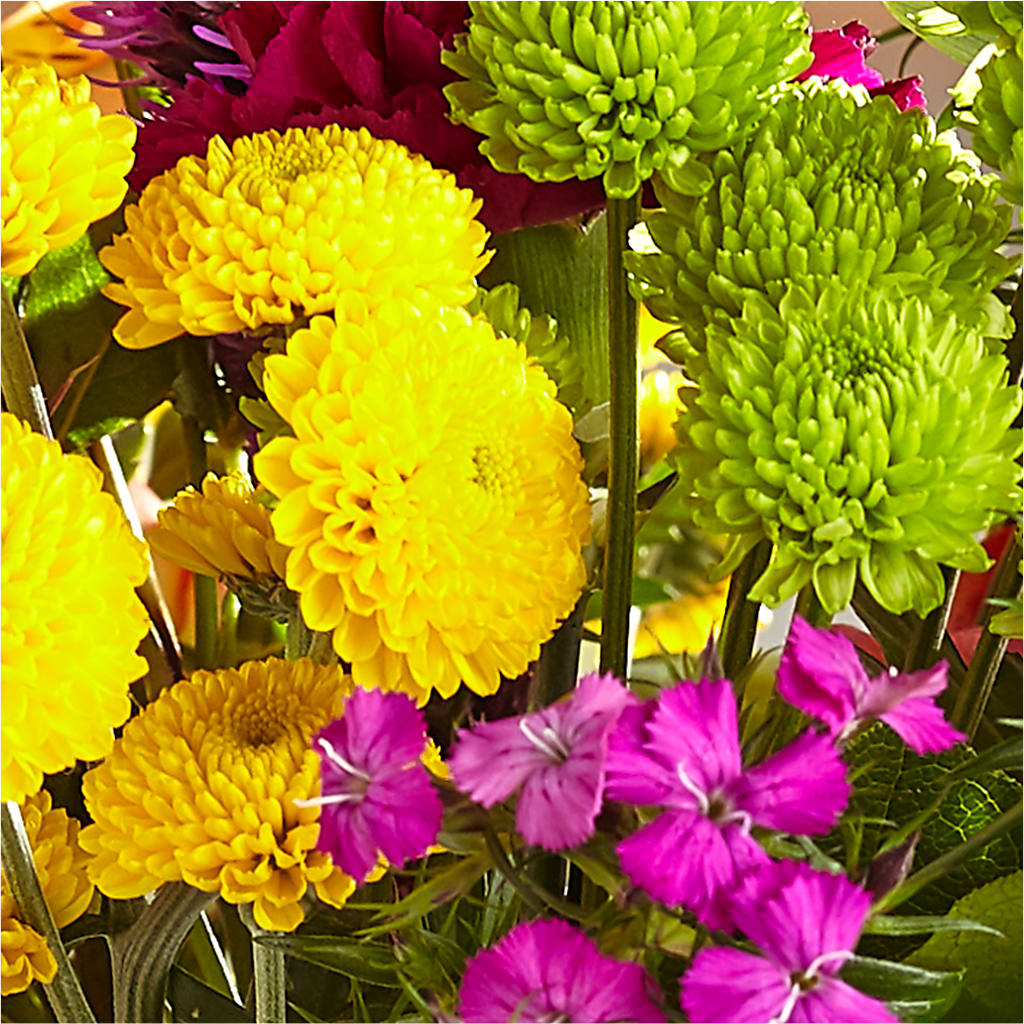 Bold & Bright – A Florist Original –  Grimm-kruse-brix Florist Inc, Saint Louis MO