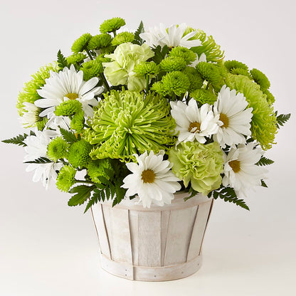 Lucky Charm Basket (Standard) –  Grimm-kruse-brix Florist Inc, Saint Louis MO