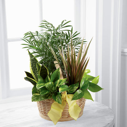 French Garden –  Grimm-kruse-brix Florist Inc, Saint Louis MO