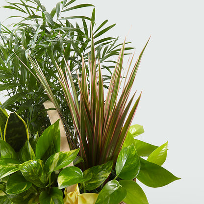 French Garden –  Grimm-kruse-brix Florist Inc, Saint Louis MO