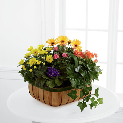 Gentle Blossoms Basket –  Grimm-kruse-brix Florist Inc, Saint Louis MO
