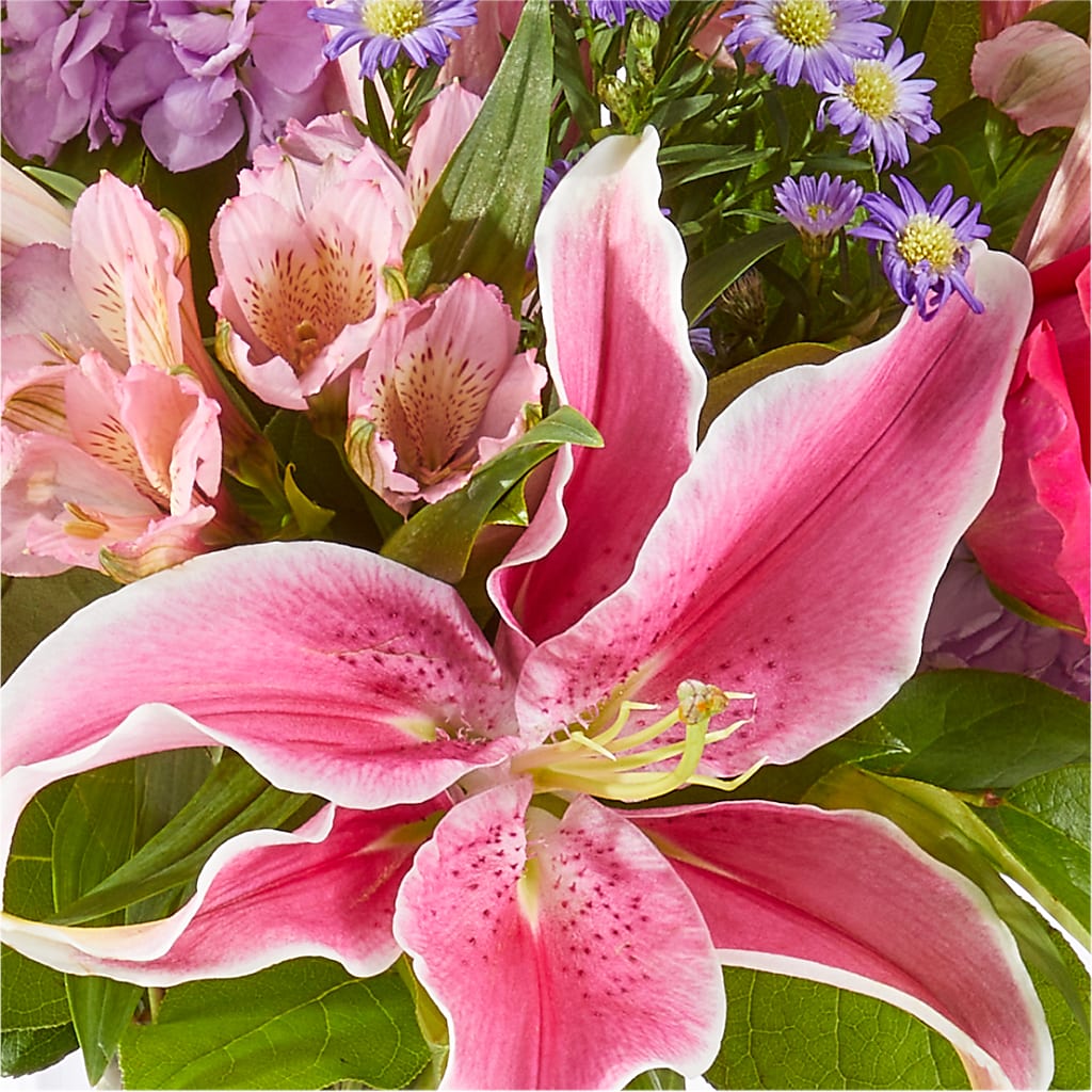 Written in the Stars Bouquet –  Grimm-kruse-brix Florist Inc, Saint Louis MO