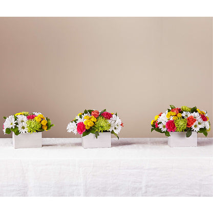 Sorbet Bouquet –  Grimm-kruse-brix Florist Inc, Saint Louis MO