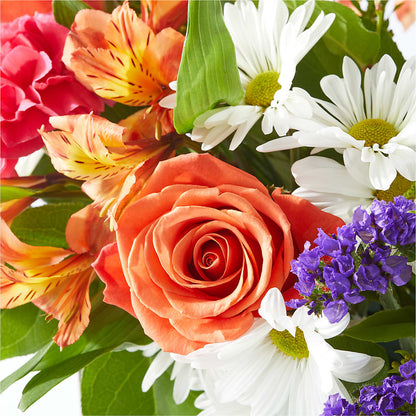 Oopsie Daisy Box Bouquet –  Grimm-kruse-brix Florist Inc, Saint Louis MO