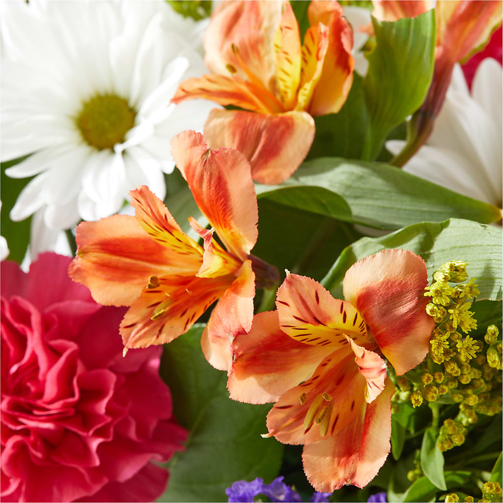 Oopsie Daisy Box Bouquet –  Grimm-kruse-brix Florist Inc, Saint Louis MO