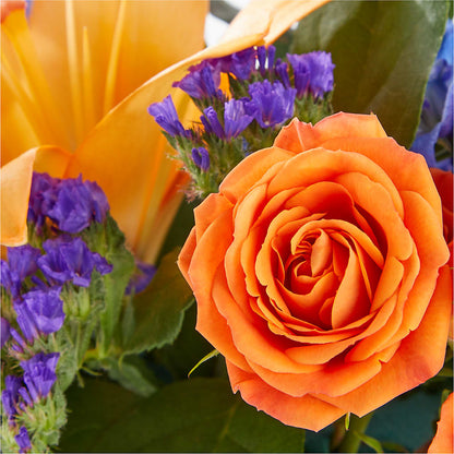 Radiant Citrus Box Bouquet –  Grimm-kruse-brix Florist Inc, Saint Louis MO