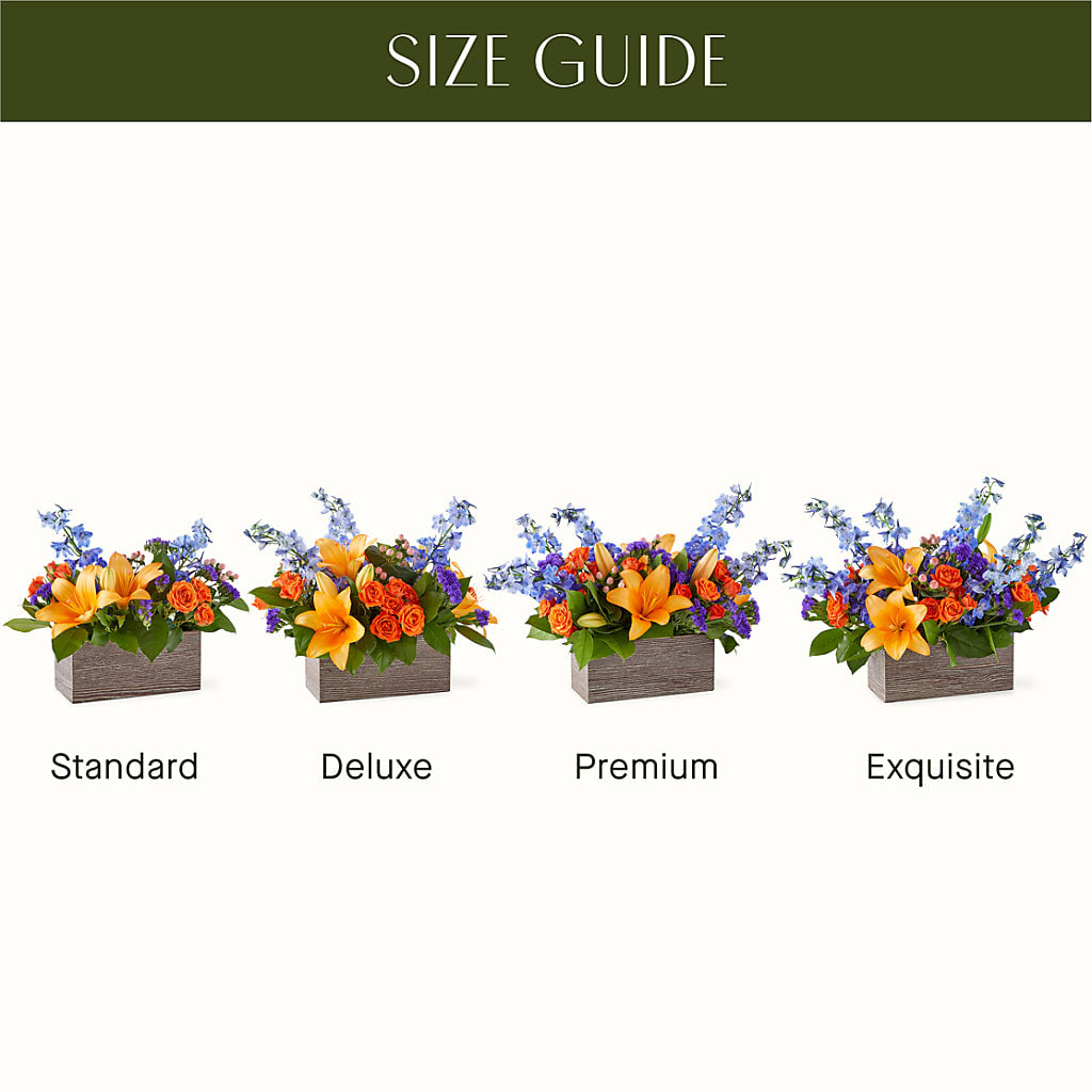 Radiant Citrus Box Bouquet –  Grimm-kruse-brix Florist Inc, Saint Louis MO