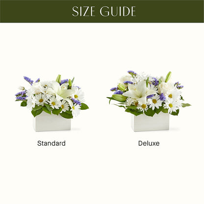 Beyond Blue Box Bouquet –  Grimm-kruse-brix Florist Inc, Saint Louis MO