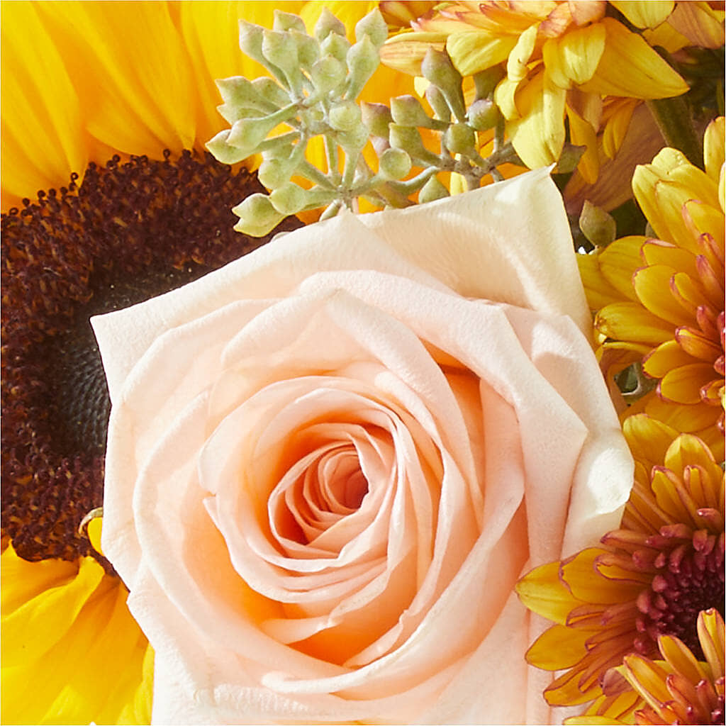 Pumpkin to Talk About Bouquet –  Grimm-kruse-brix Florist Inc, Saint Louis MO