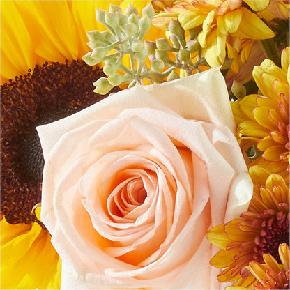 Pumpkin to Talk About Bouquet –  Grimm-kruse-brix Florist Inc, Saint Louis MO