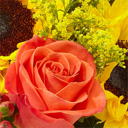 Pick of the Patch Pumpkin Bouquet –  Grimm-kruse-brix Florist Inc, Saint Louis MO