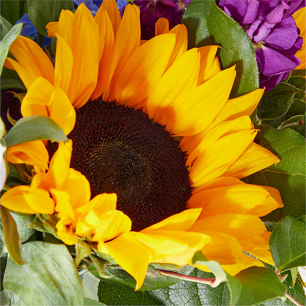 Catching Rays Bouquet –  Grimm-kruse-brix Florist Inc, Saint Louis MO