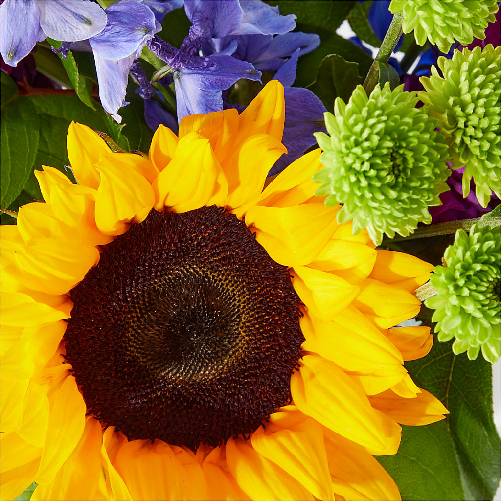 Catching Rays Bouquet –  Grimm-kruse-brix Florist Inc, Saint Louis MO