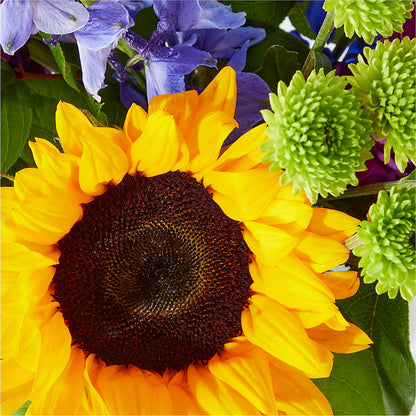 Catching Rays Bouquet –  Grimm-kruse-brix Florist Inc, Saint Louis MO