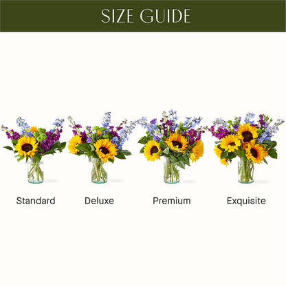 Catching Rays Bouquet –  Grimm-kruse-brix Florist Inc, Saint Louis MO