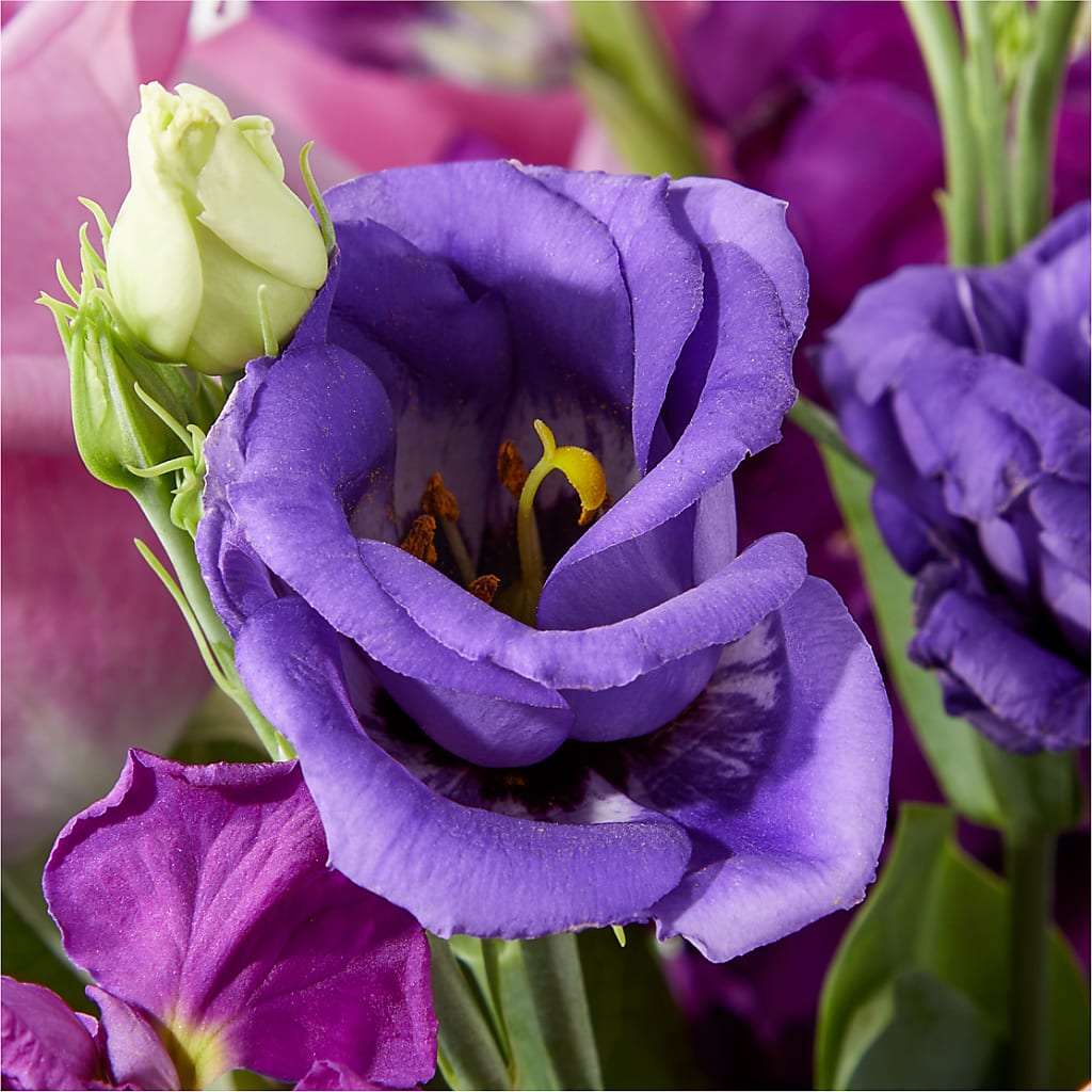 Twilight Glow Bouquet –  Grimm-kruse-brix Florist Inc, Saint Louis MO