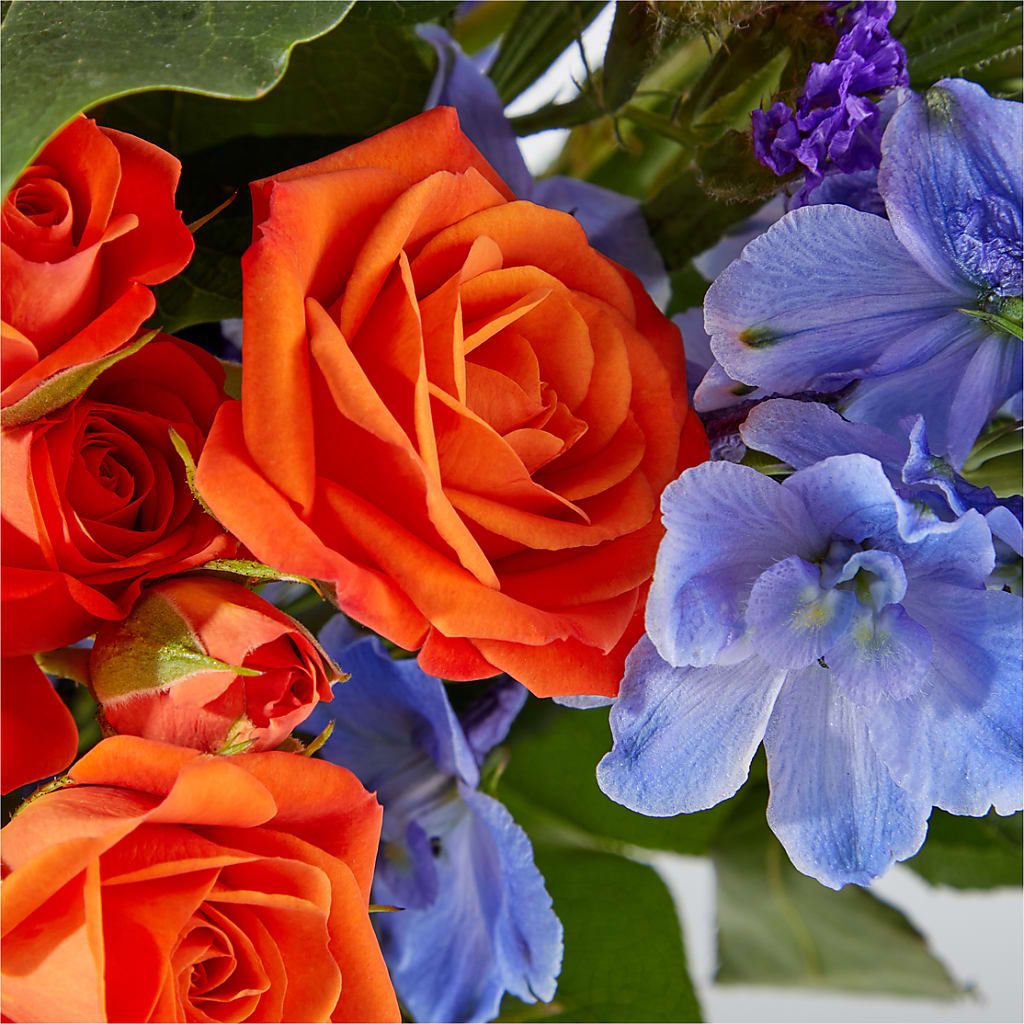 Radiant Citrus Bouquet –  Grimm-kruse-brix Florist Inc, Saint Louis MO