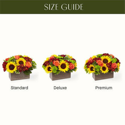 Happy Harvest Garden –  Grimm-kruse-brix Florist Inc, Saint Louis MO