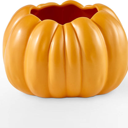 Pick of the Patch Pumpkin Bouquet –  Grimm-kruse-brix Florist Inc, Saint Louis MO
