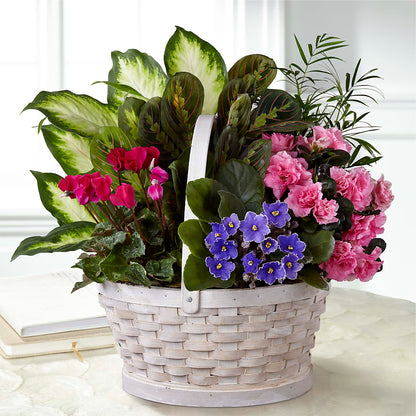Peaceful Garden Planter –  Grimm-kruse-brix Florist Inc, Saint Louis MO