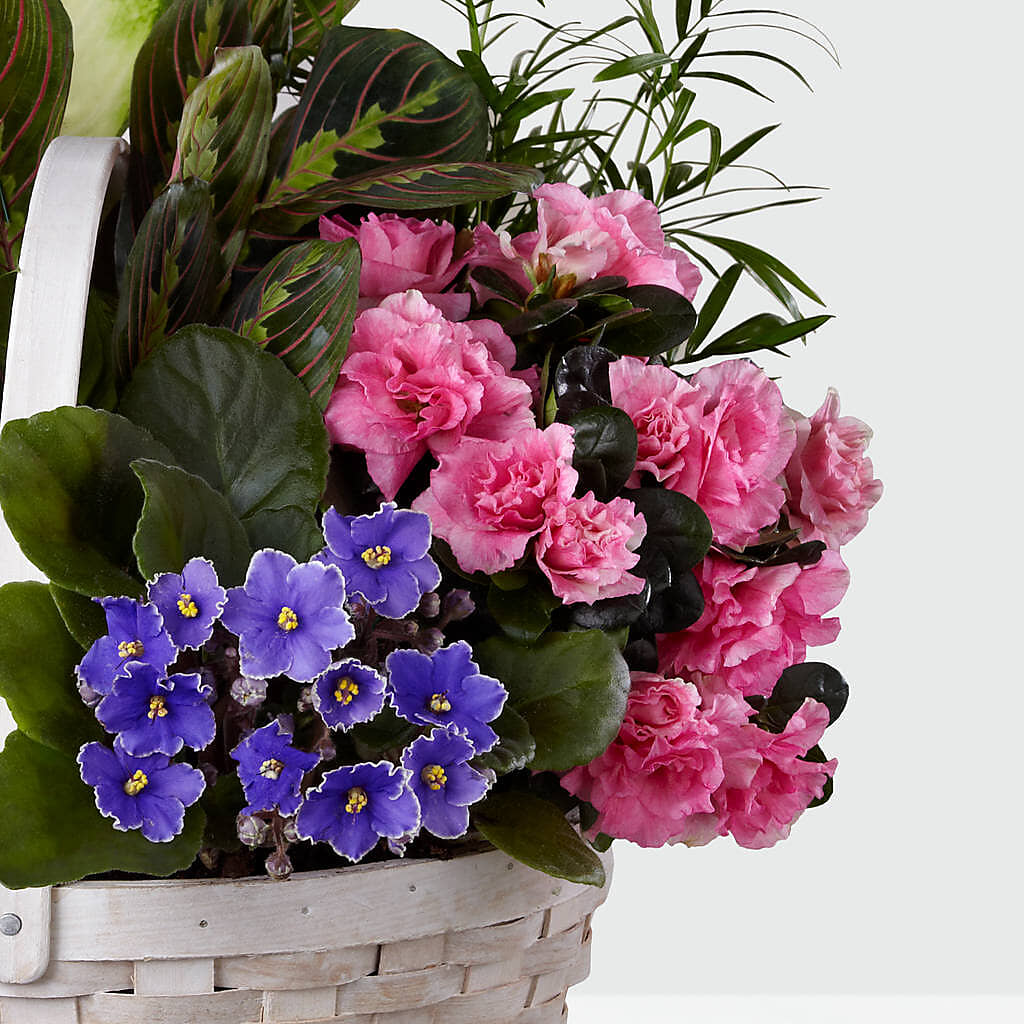 Peaceful Garden Planter –  Grimm-kruse-brix Florist Inc, Saint Louis MO