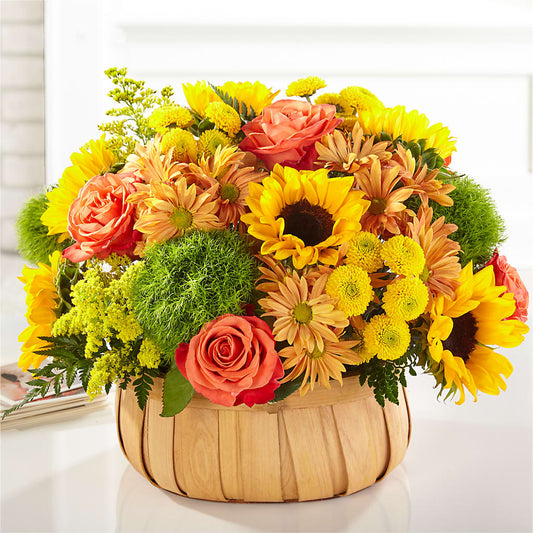 Harvest Sunflower Basket –  Grimm-kruse-brix Florist Inc, Saint Louis MO