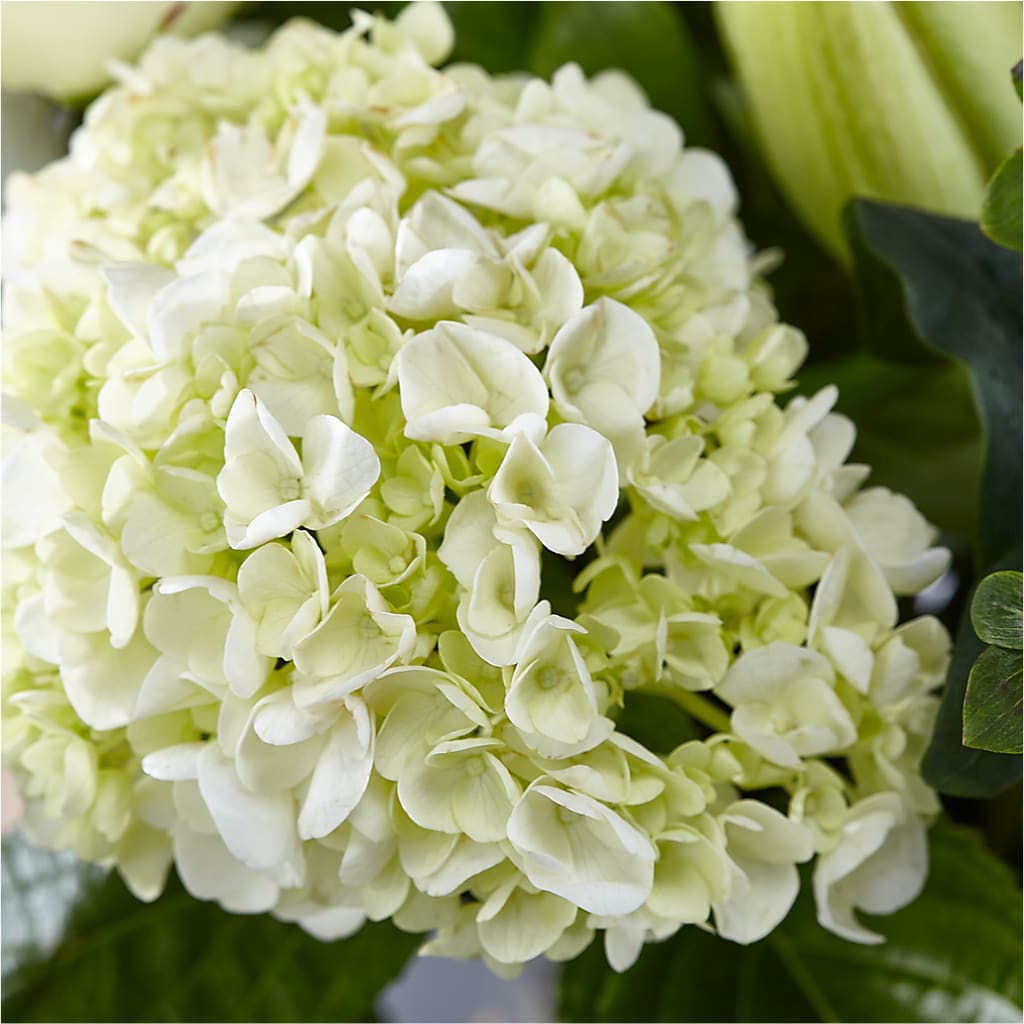 Classic Ivory – A Florist Original –  Grimm-kruse-brix Florist Inc, Saint Louis MO