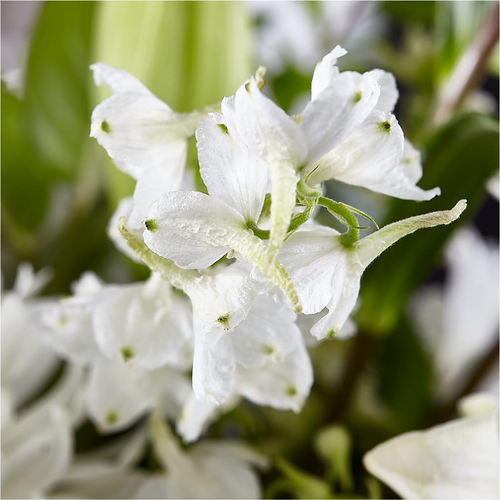Classic Ivory – A Florist Original –  Grimm-kruse-brix Florist Inc, Saint Louis MO