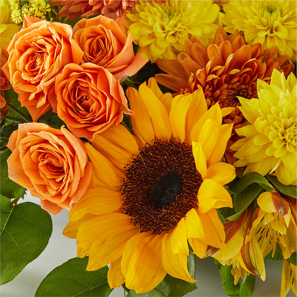 Autumn Harmony Centerpiece –  Grimm-kruse-brix Florist Inc, Saint Louis MO