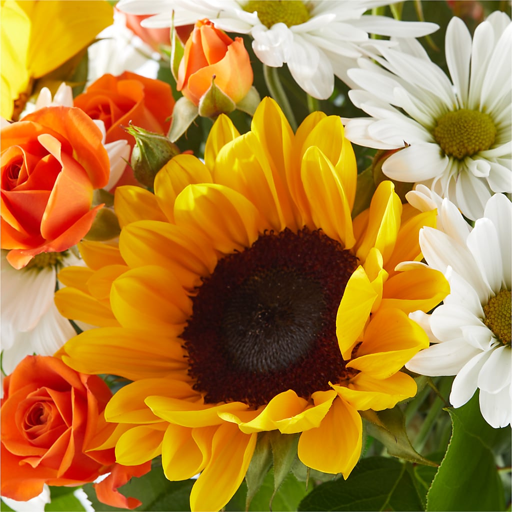 Sun-drenched Blooms Bouquet –  Grimm-kruse-brix Florist Inc, Saint Louis MO