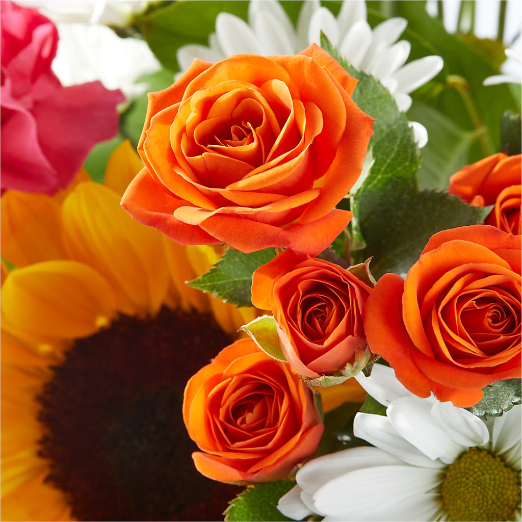 Sun-drenched Blooms Bouquet –  Grimm-kruse-brix Florist Inc, Saint Louis MO