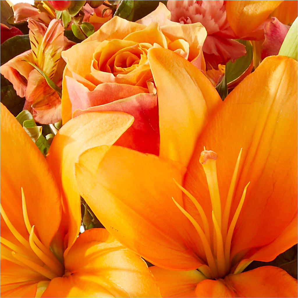 Afternoon Light Bouquet –  Grimm-kruse-brix Florist Inc, Saint Louis MO