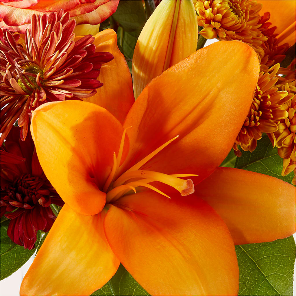 Autumnal Aroma Bouquet –  Grimm-kruse-brix Florist Inc, Saint Louis MO