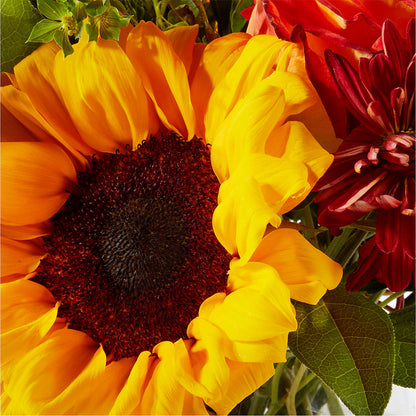 Harvest Festival Bouquet –  Grimm-kruse-brix Florist Inc, Saint Louis MO