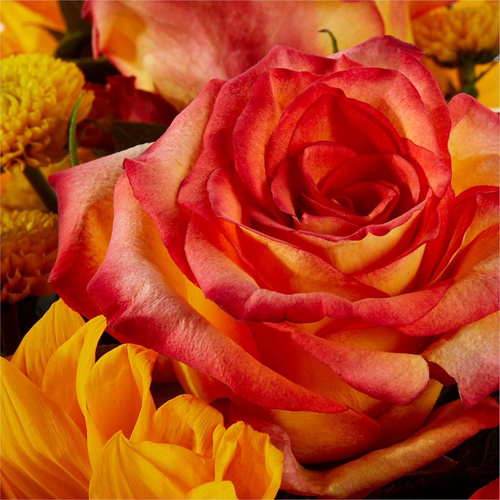Picnic in the Park Bouquet –  Grimm-kruse-brix Florist Inc, Saint Louis MO