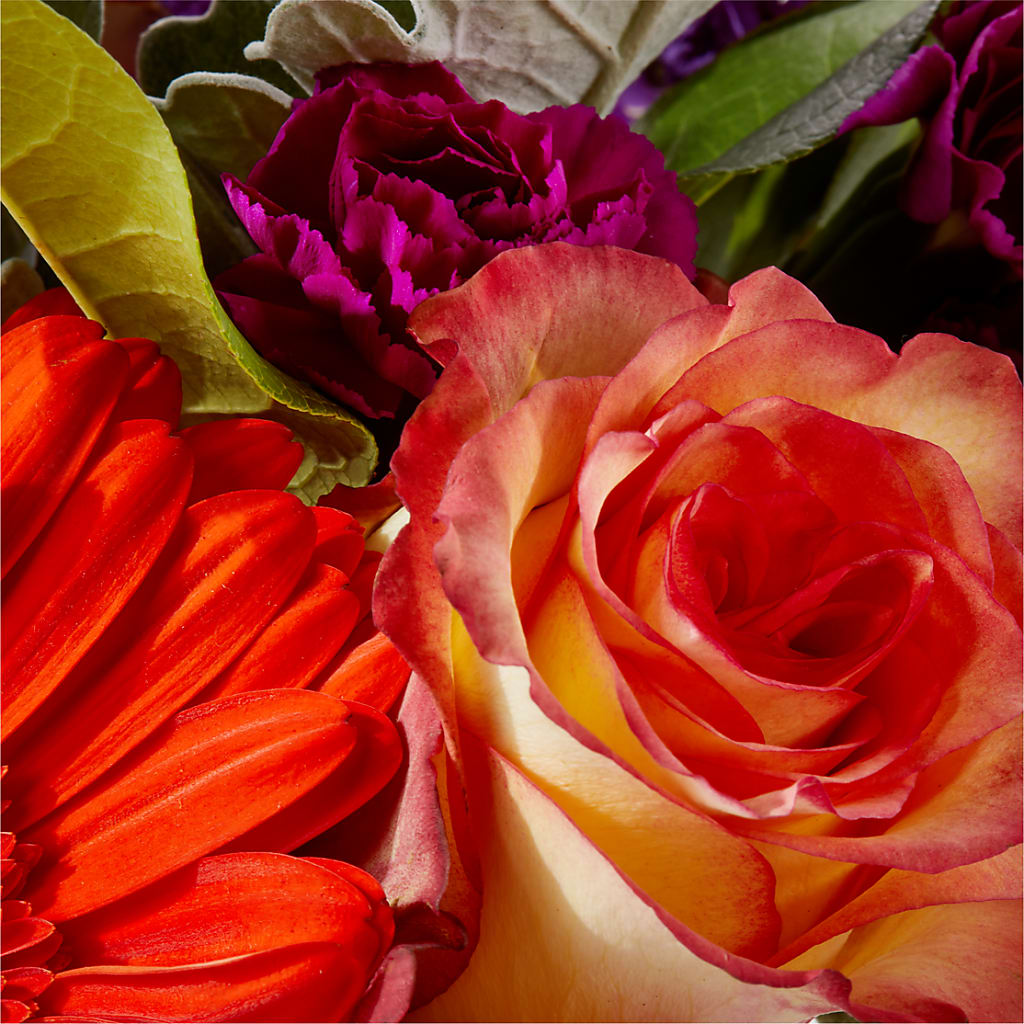 Sangria Bouquet –  Grimm-kruse-brix Florist Inc, Saint Louis MO