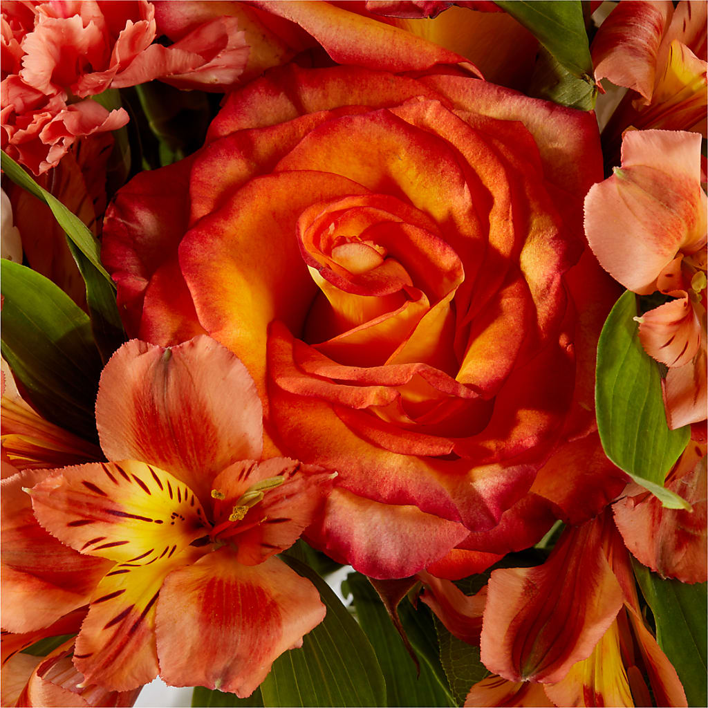 Apricot Glow Bouquet –  Grimm-kruse-brix Florist Inc, Saint Louis MO