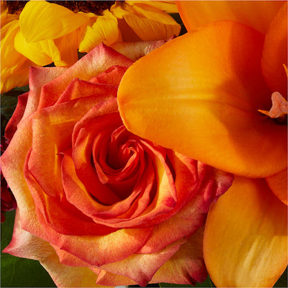 Grateful Centerpiece –  Grimm-kruse-brix Florist Inc, Saint Louis MO