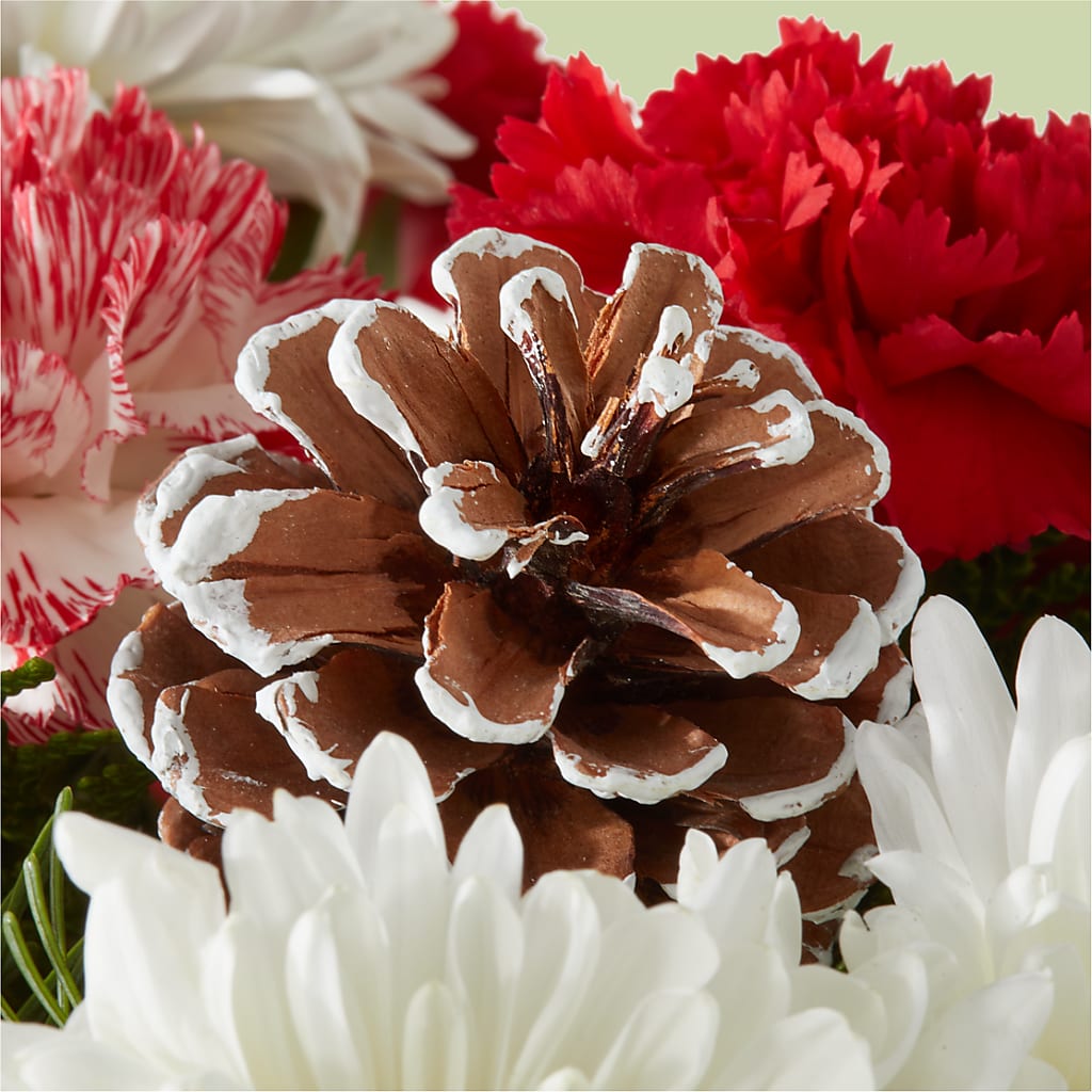Candy Cane Lane Bouquet –  Grimm-kruse-brix Florist Inc, Saint Louis MO
