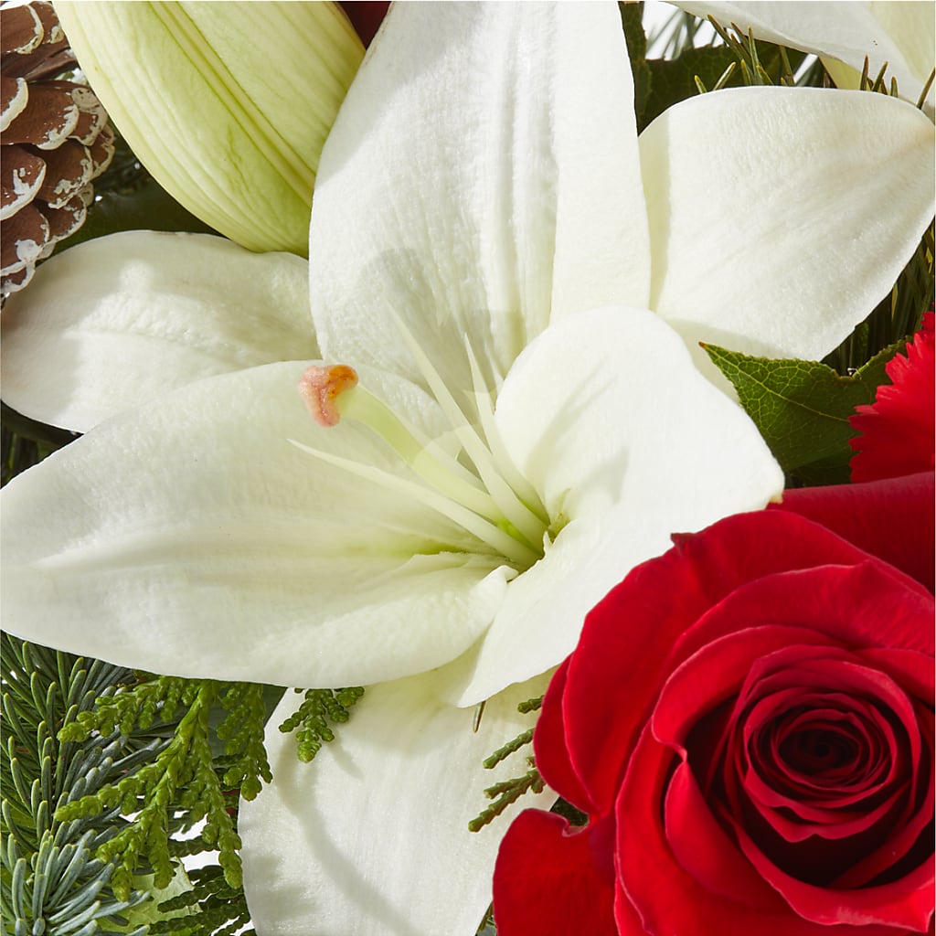 Oh So Jolly Bouquet –  Grimm-kruse-brix Florist Inc, Saint Louis MO